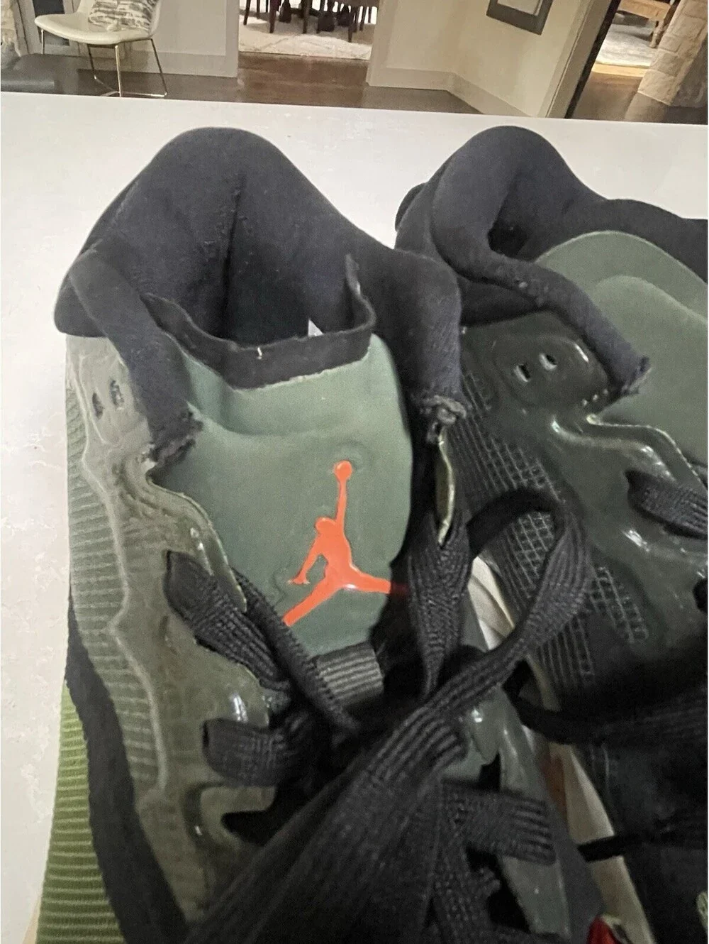 Jordan nike zion